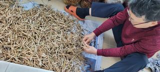 도시농부 박태영님의 오늘 어떤 농작업하셨나요? · 참여글 작성글 사진