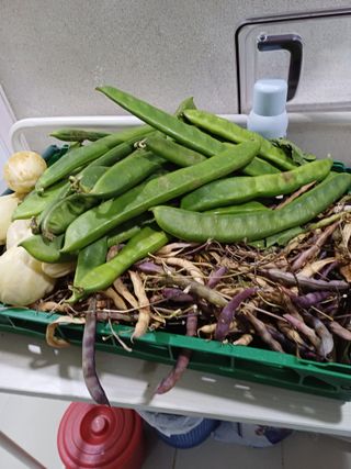 호박7528님의 오늘 어떤 농작업하셨나요? · 참여글 작성글 사진