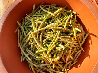 최남옥님의 오늘 어떤 농작업하셨나요? · 참여글 작성글 사진