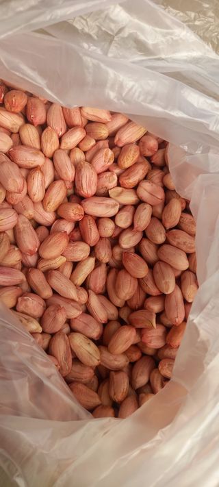 장만월님의 오늘 어떤 농작업하셨나요? · 참여글 작성글 사진