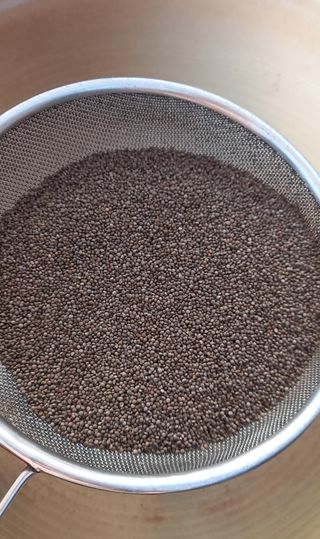 장만월님의 오늘 어떤 농작업하셨나요? · 참여글 작성글 사진