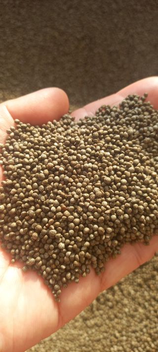 장만월님의 오늘 어떤 농작업하셨나요? · 참여글 작성글 사진