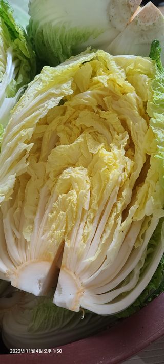 이용우님의 오늘 어떤 농작업하셨나요? · 참여글 작성글 사진