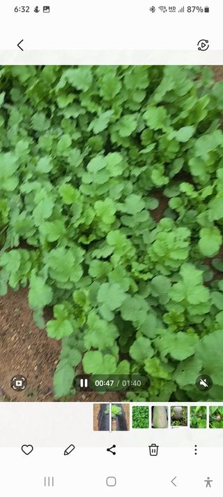 이용우님의 오늘 어떤 농작업하셨나요? · 참여글 작성글 사진