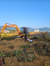 팜모닝 오늘 어떤 농작업하셨나요?·참여글 게시글 이미지