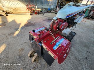 최도윤님의 작성글 사진