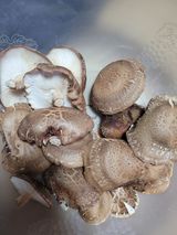 팜모닝 오늘 어떤 농작업하셨나요?·참여글 게시글 이미지