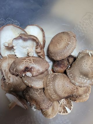 동길니우스님의 오늘 어떤 농작업하셨나요? · 참여글 작성글 사진