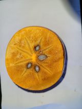 팜모닝 오늘 어떤 농작업하셨나요?·참여글 게시글 이미지