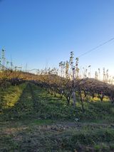 팜모닝 오늘 어떤 농작업하셨나요?·참여글 게시글 이미지