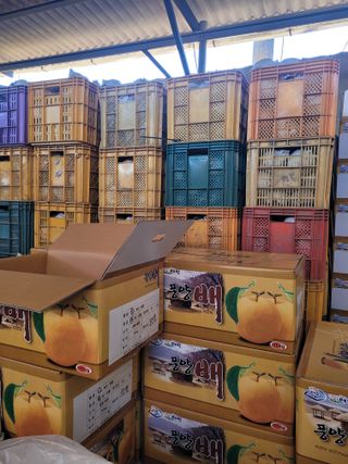 김시문님의 오늘 어떤 농작업하셨나요? · 참여글 작성글 사진