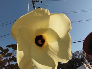 금동이네님의 자유주제 · 자유게시판 작성글 사진