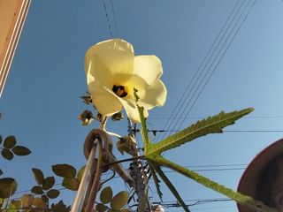 금동이네님의 자유주제 · 자유게시판 작성글 사진