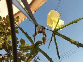 금동이네님의 자유주제 · 자유게시판 작성글 사진