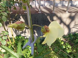 금동이네님의 자유주제 · 자유게시판 작성글 사진