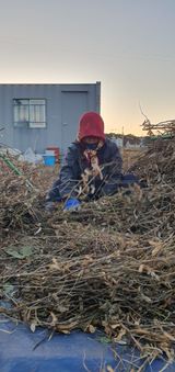 팜모닝 오늘 어떤 농작업하셨나요?·참여글 게시글 이미지