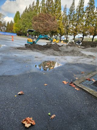 김저팔계님의 기타작물 · 영농일지 작성글 사진