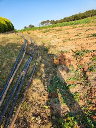 김저팔계님의 기타작물 · 영농일지 작성글 사진