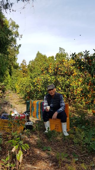 변창신님의 오늘 어떤 농작업하셨나요? · 참여글 작성글 사진