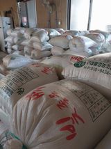 팜모닝 오늘 어떤 농작업하셨나요?·참여글 게시글 이미지