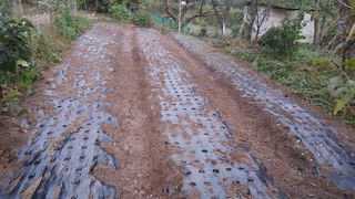 박상현님의 오늘 어떤 농작업하셨나요? · 참여글 작성글 사진