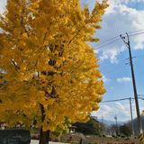 팜모닝 오늘 어떤 농작업하셨나요?·참여글 게시글 이미지