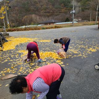 knlee2222님의 오늘 어떤 농작업하셨나요? · 참여글 작성글 사진