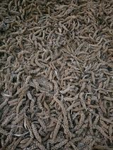 팜모닝 오늘 어떤 농작업하셨나요?·참여글 게시글 이미지