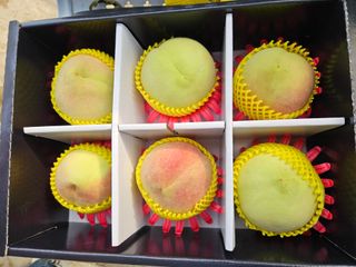 농업회사법인무지개주식회사님의 복숭아 · 자유게시판 작성글 사진