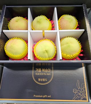 농업회사법인무지개주식회사님의 복숭아 · 자유게시판 작성글 사진