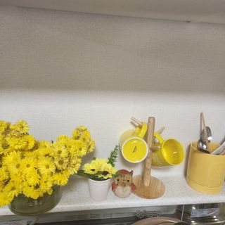 황지유님의 오늘 어떤 농작업하셨나요? · 참여글 작성글 사진