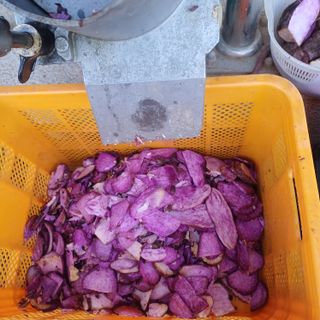 삼성농산님의 자유주제 · 자유게시판 작성글 사진