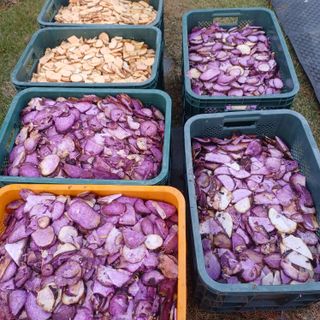 삼성농산님의 자유주제 · 자유게시판 작성글 사진