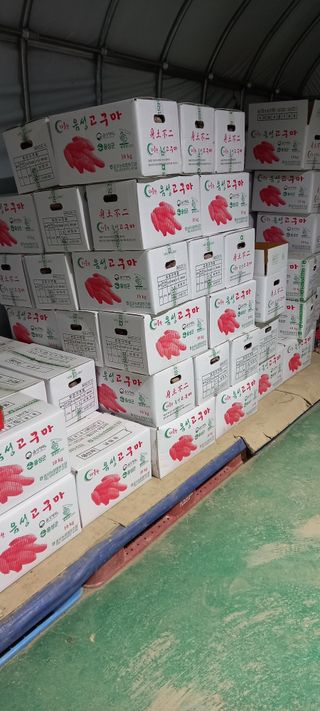 강성분님의 오늘 어떤 농작업하셨나요? · 참여글 작성글 사진