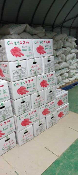 강성분님의 오늘 어떤 농작업하셨나요? · 참여글 작성글 사진