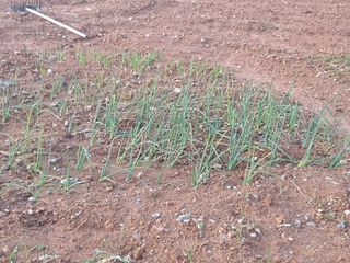 최순님의 자유주제 · 자유게시판 작성글 사진