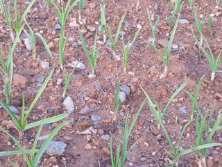 최순님의 자유주제 · 자유게시판 작성글 사진