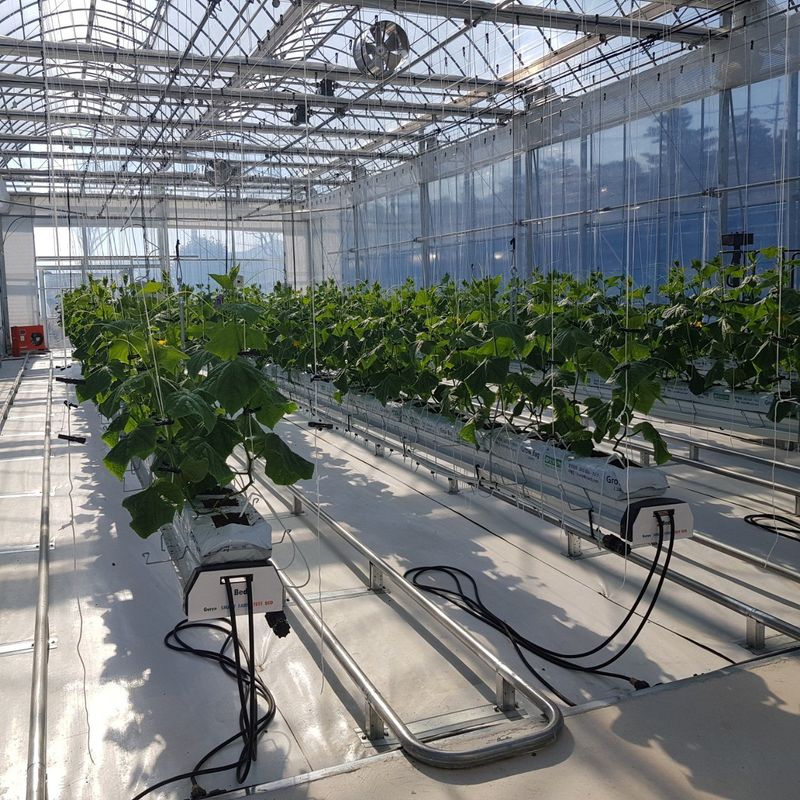 이범신님의 장터 판매 상품 [근권난방보일러] 첨부 사진