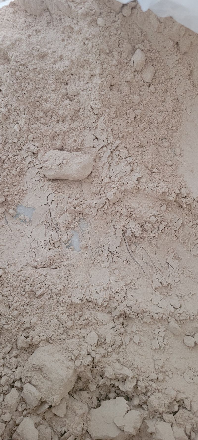 김영만님의 장터 판매 상품 [밤가루 1kg] 첨부 사진