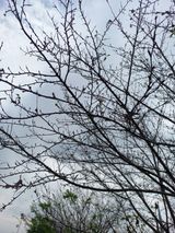 팜모닝 자유주제·자유게시판 게시글 이미지