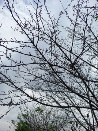 표고버섯18837님의 자유주제 · 자유게시판 작성글 사진