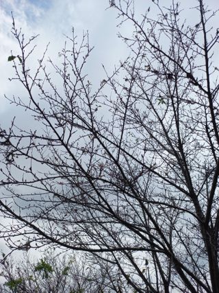 표고버섯18837님의 자유주제 · 자유게시판 작성글 사진