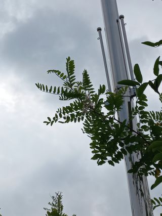 표고버섯18837님의 자유주제 · 자유게시판 작성글 사진