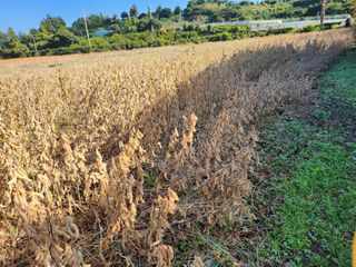 전병선님의 오늘 어떤 농작업하셨나요? · 참여글 작성글 사진