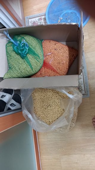 우리들 님의 오늘 어떤 농작업하셨나요? · 참여글 작성글 사진