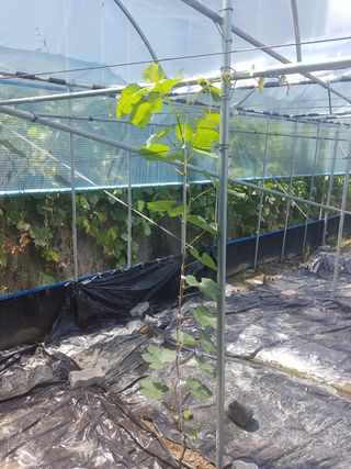 빛과소금님의 팜모닝 · 출석 작성글 사진