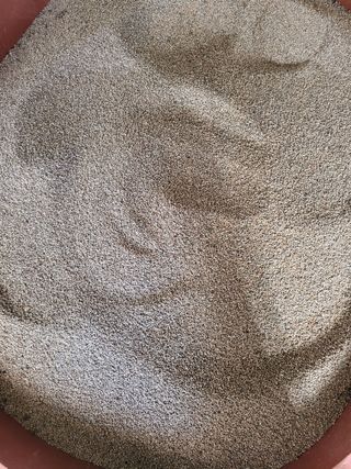 조광현님의 작성글 사진