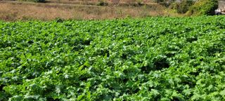 박영준님의 자유주제 · 자유게시판 작성글 사진