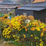 팜모닝 오늘 어떤 농작업하셨나요?·참여글 게시글 이미지