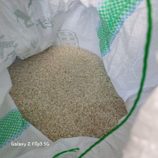 장유경만점자님의 오늘 어떤 농작업하셨나요? · 참여글 작성글 사진